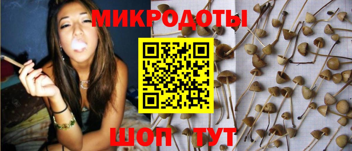 Зима  Галлюциногенные грибы ЛСД  как найти наркотики  Вход с VPN 